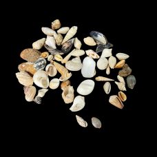  A set of smaller shells