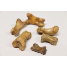 Cave bear finger bones