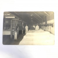 3 Antique Photos - WW1